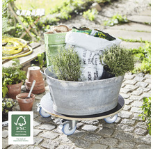 Pojazdná doska s rastlinami a záhradnými doplnkami vo vonkajšom prostredí