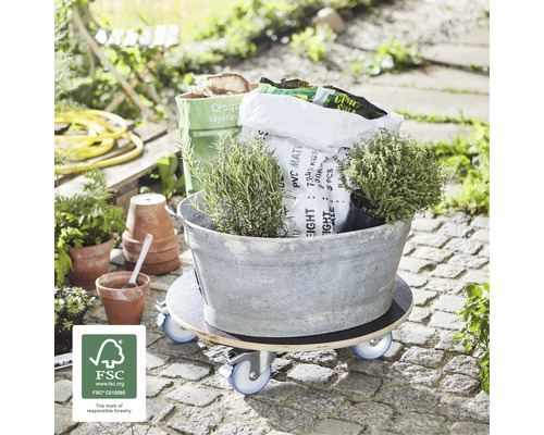 Pojazdná doska s rastlinami a záhradnými doplnkami vo vonkajšom prostredí