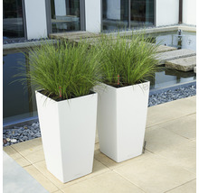 Samozavlažovací kvetináč Lechuza Cubico Color plast 30x30x56 cm biely