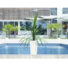 Samozavlažovací kvetináč Lechuza Cubico Color plast 30x30x56 cm biely
