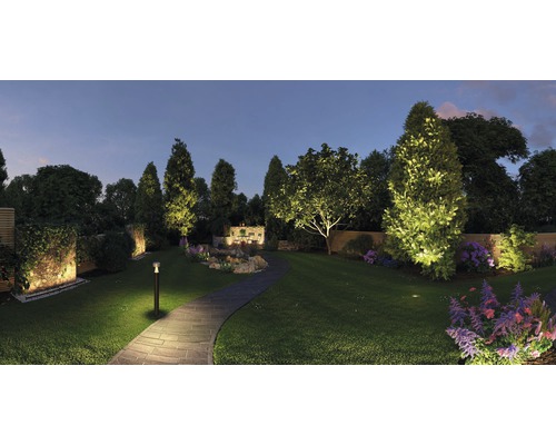 Osvetlená záhrada s cestou, stromami a kvetmi