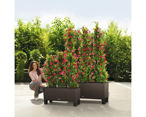 Dva plastové kvetináče s popínavými rastlinami a ženou v záhrade.