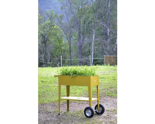 Vyvýšený záhon na kolieskach s výsadbou v záhrade