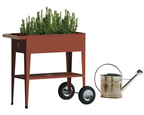 Vyvýšený záhon s kolieskami, policou a rastlinami vedľa kanvy