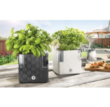 Dva kvetináče na bylinky so zavlažovacím systémom na drevenom stole vonku, osadené bazalkou a petržlenom.