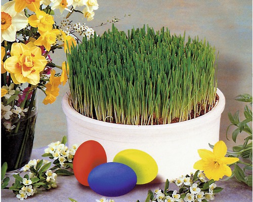 Veľkonočná dekorácia s veľkonočnou trávou, kvetmi a veľkonočnými vajíčkami