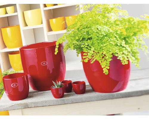 Keramické kvetináče rôznych veľkostí v scéne s rastlinami