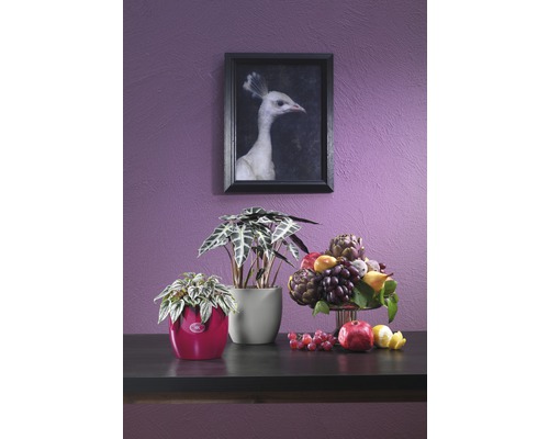Dekoratívne zátišie s izbovými rastlinami, ovocím a zarámovaným obrázkom bieleho páva na fialovej stene
