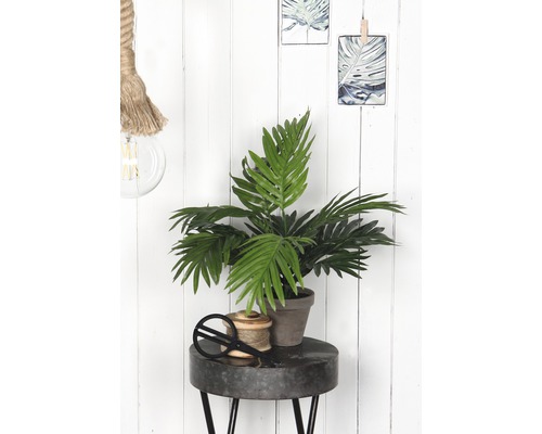 Dekoratívna scéna s izbovou rastlinou, cievkou nite a nožnicami na stole