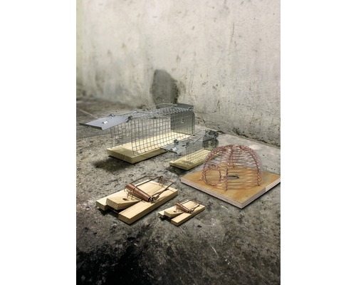 Rôzne pasce na myši a potkany z dreva a kovu