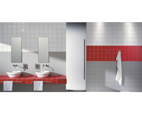 Kúpeľňa s dvomi umývadlami, zrkadlami a obkladmi