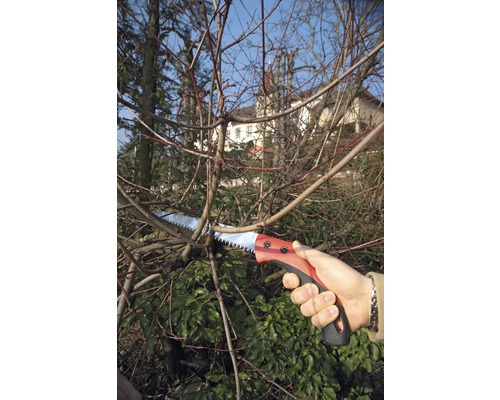 Ručná pílka reže konár stromu.