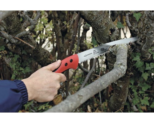 Ručná oblúková píla reže konár