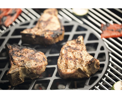 Mäso a zelenina na grile