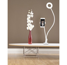 LED stolová lampa Top Light Neck B 5 W 500 lm 3000-4500-6500 K biela s držiakom na mobil