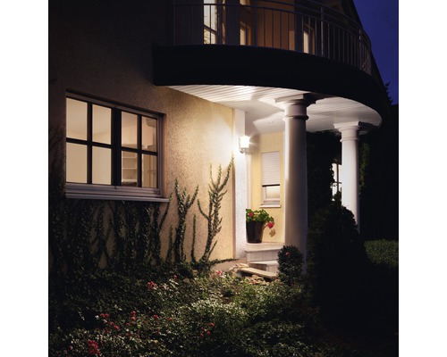 Fasáda domu s vonkajším osvetlením, oknom a zeleňou