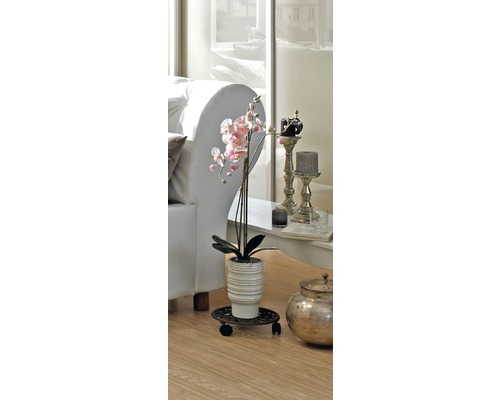 Ozdobná orchidea v obývacej izbe na kolieskach na rastliny.