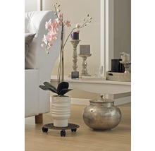 Dekoratívny interiér s rastlinou, kvetináčom, sviečkami a pohovkou