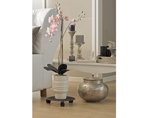 Dekoratívny interiér s rastlinou, kvetináčom, sviečkami a pohovkou