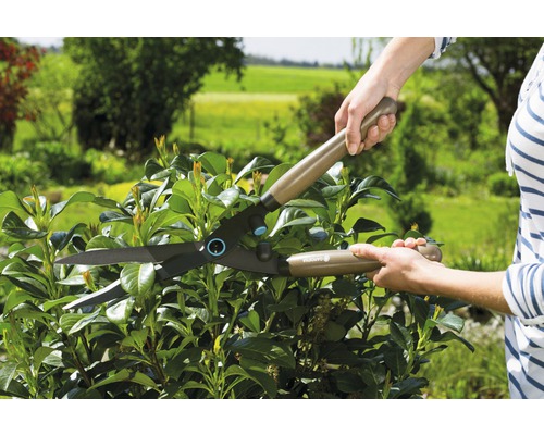 Záhradné nožnice pri strihaní živého plota v záhrade