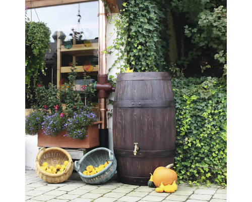 Sud na dažďovú vodu s vzhľadom dreva s pripojením k zvodu a tekvicami v záhrade