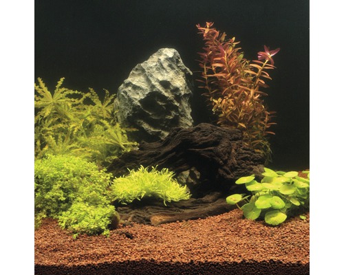 Akvárium zariadené rastlinami, koreňovým drevom, štrkom a kameňom