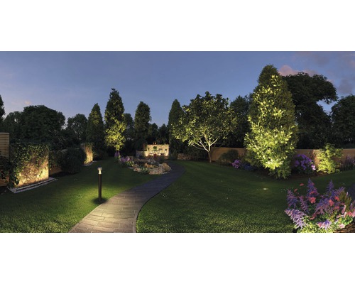 Osvetlená záhrada so stromami, kvetmi a kamennou cestou