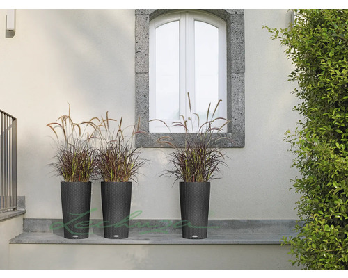 Tri vysoké plastové kvetináče s okrasnými trávami pred stenou domu