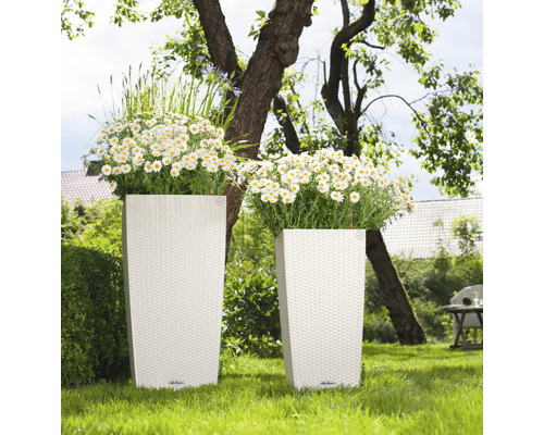 Dva vysoké kvetináče s prútenou štruktúrou a osadením v záhrade.