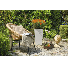 Záhradná scéna s prúteným kreslom, kvetináčom a dekoráciou na kamennej podlahe