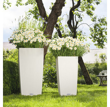 Dva vysoké kvetináče s kvetmi v záhrade