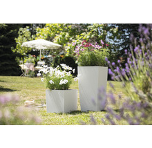 Dva štvorcové kvetináče s rastlinami v záhrade.