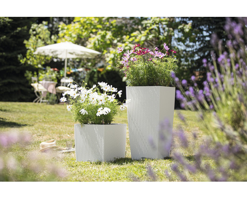 Dva štvorcové kvetináče s rastlinami v záhrade.