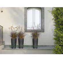 Tri vysoké tmavé kvetináče s okrasnými trávami pred stenou a oknom.