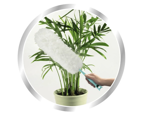 Prachovka čistí izbovú rastlinu v kvetináči