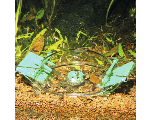 Akvárium so zvonom na krmivo a krevetami