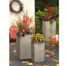 Kvetinové aranžmán v dvoch sivých kvetináčoch na terase s jesenným lístím