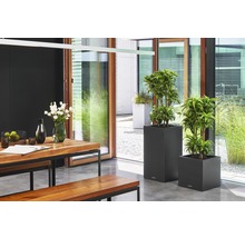 Svetlý interiér s dreveným stolom, lavicami a kvetináčmi