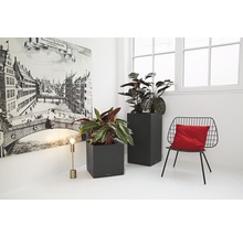 Dva sivé kvetináče s rastlinami vo svetlej miestnosti