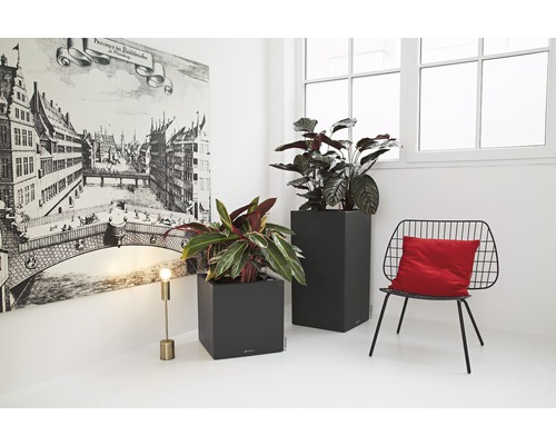 Dva sivé kvetináče s rastlinami vo svetlej miestnosti