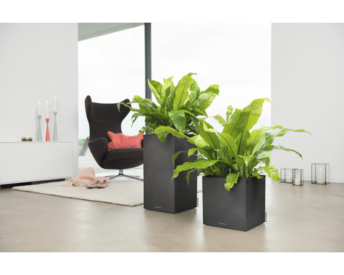 Dva sivé kvetináče so zelenými rastlinami v obývacej izbe