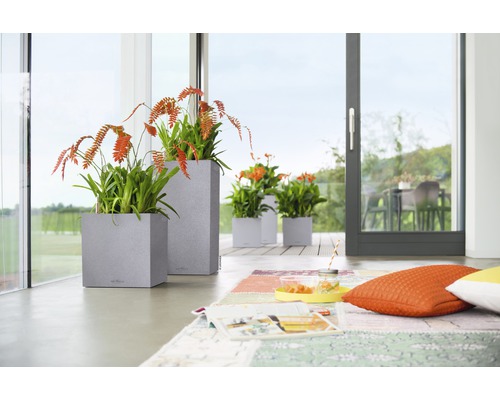 Dekoratívne obytné prostredie s rastlinami v kvetináčoch na terase a v obývacej izbe