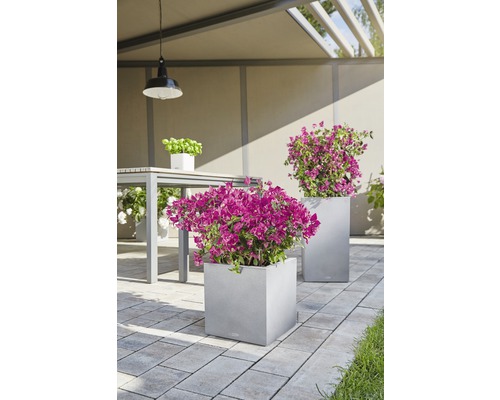 Záhradná scéna s kvetináčmi a stolovou súpravou na dláždenej ploche