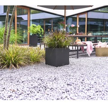 Záhradná scéna s rastlinami v štvorcovom kvetináči na štrku