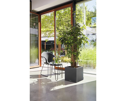 Svetlý interiér s rastlinou v hranatom kvetináči, stoličkou a stolom pri okne