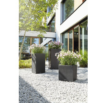 Tri osadené, tmavé kvetináče v záhrade na štrku