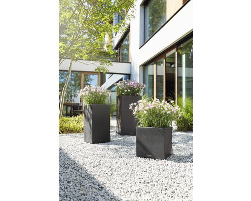 Tri osadené, tmavé kvetináče v záhrade na štrku
