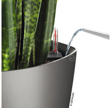 Zalievanie rastliny v kvetináči s ukazovateľom hladiny vody