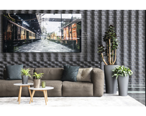 Obývacia izba s pohovkou, konferenčnými stolíkmi, črepníkovými rastlinami a zarámovaným obrázkom vlakových vozňov