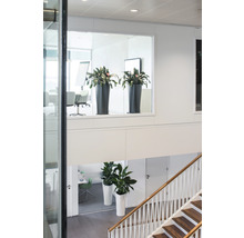 Interiérová fotografia schodiska s hrnkovými rastlinami v rôznych úrovniach.